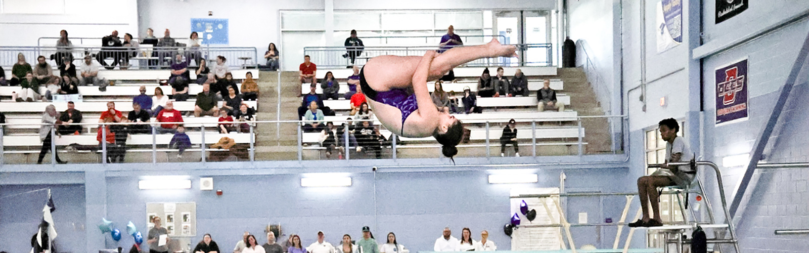 Battlefield High School - Diving